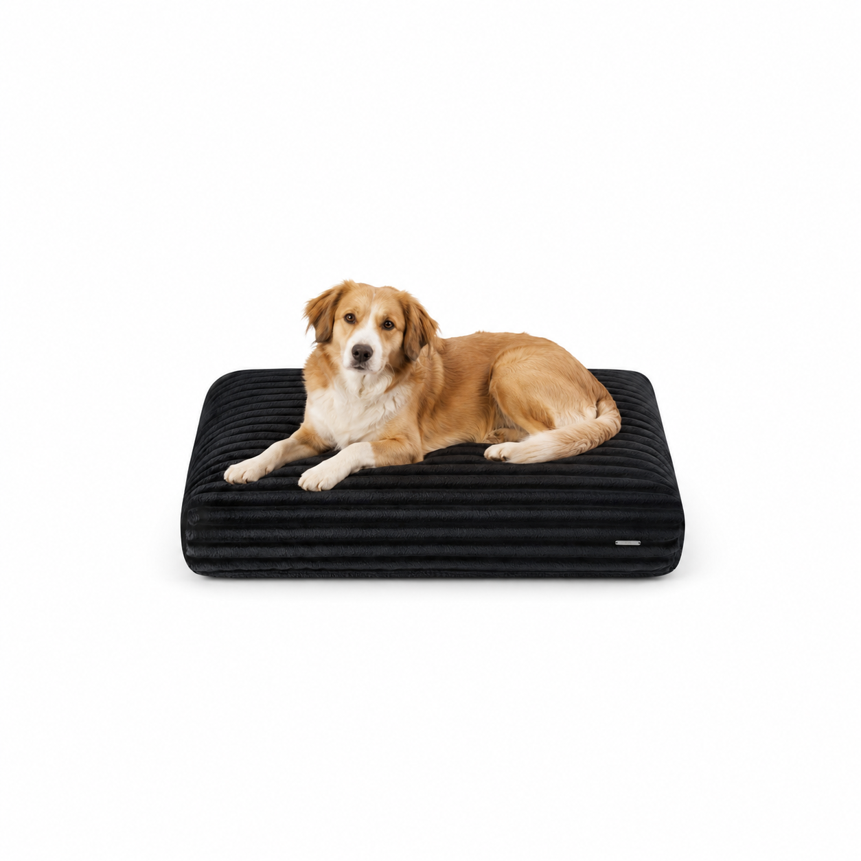 Almofada para Cão FURO — Preto | Labbvenn