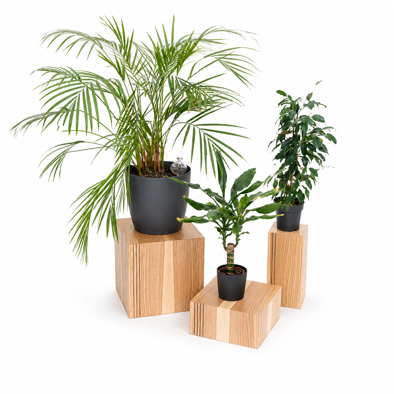 Conjunto de 3 Cubos de Madeira para Plantas — Artesanal | Ewart Woods
