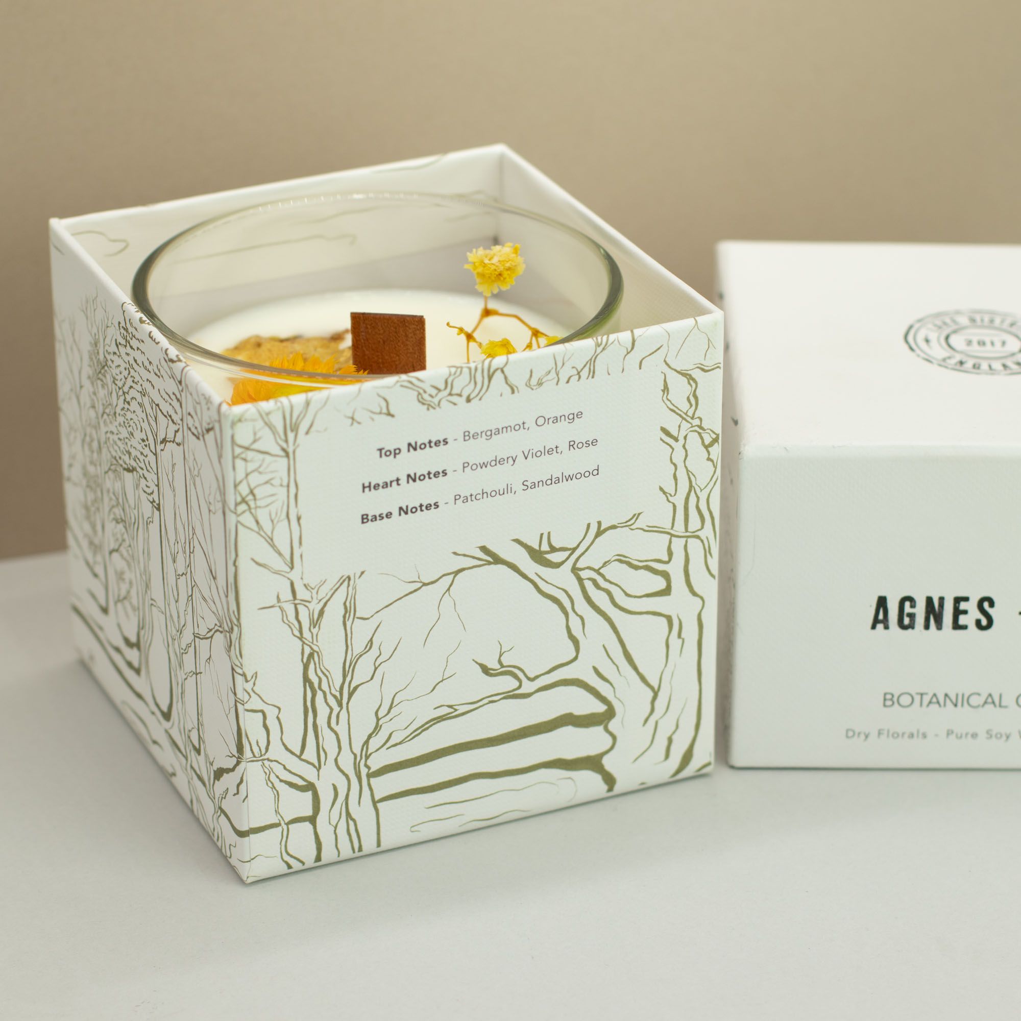Vela Botânica de Cera de Soja Agnes + Cat - Rydal Oudh