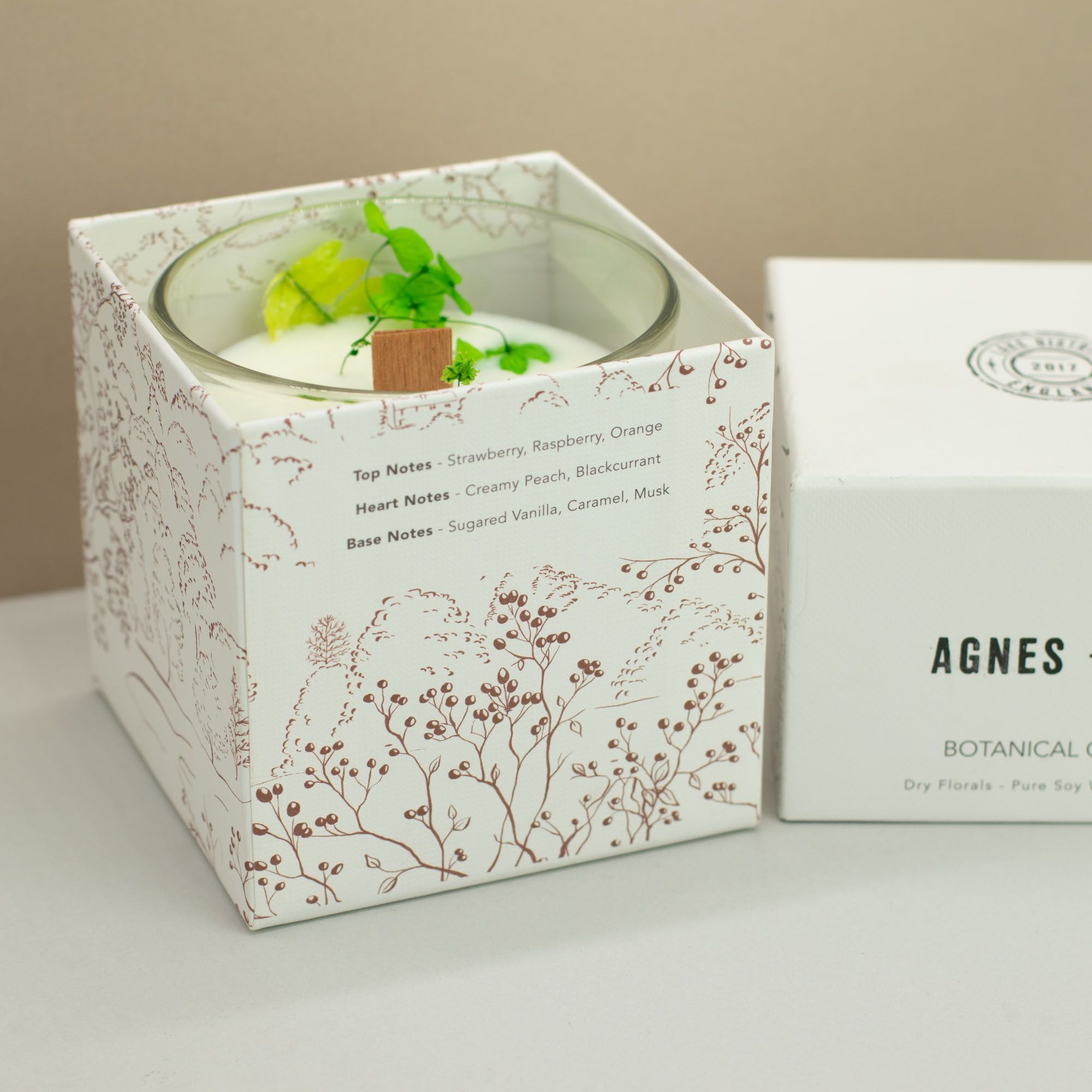 Vela Botânica de Cera de Soja Agnes + Cat - Fellberry