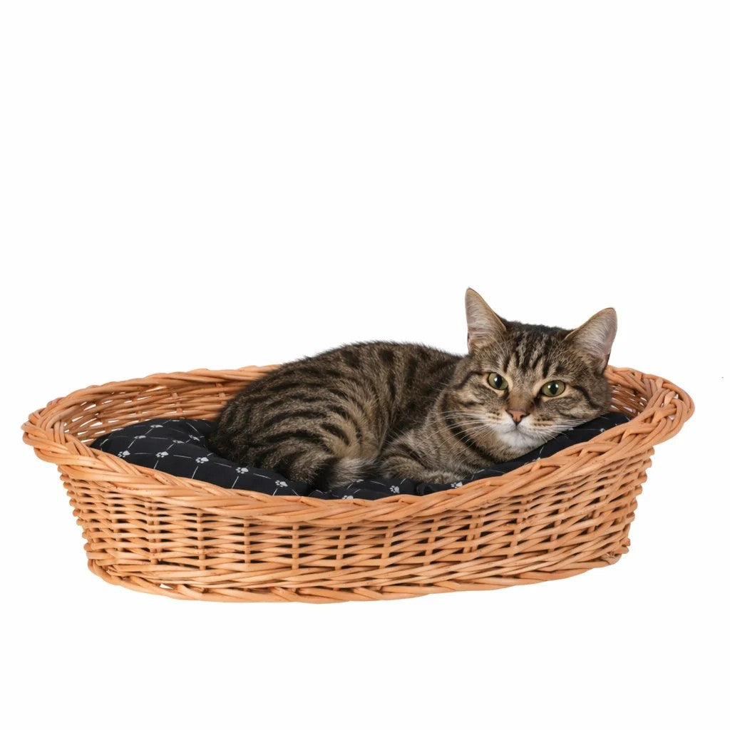 Enovia Natural Wicker Dog Bed With Black Cushion, 70x54 cm